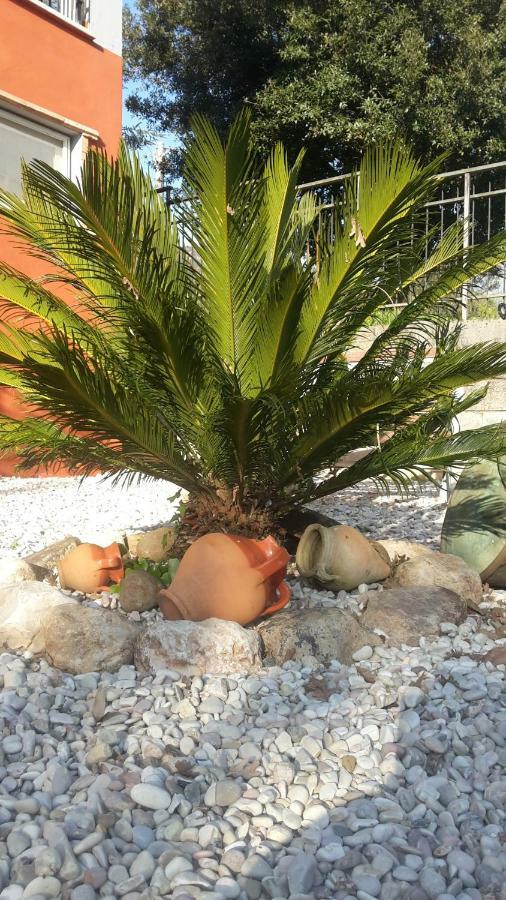 B&B La Mita Giuliano di Roma Ngoại thất bức ảnh